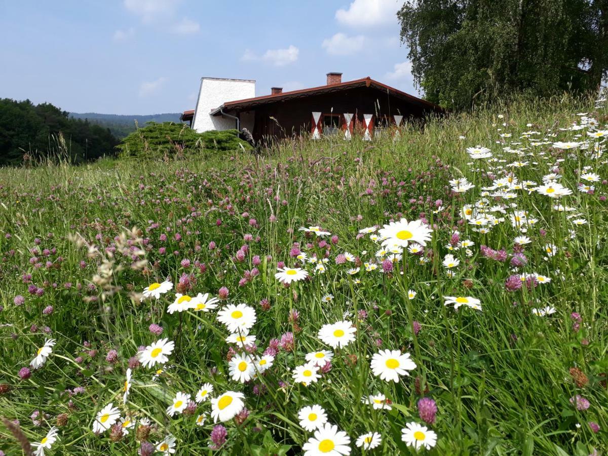 Villa Ellernhof Im Spessart Stadtprozelten Exterior foto