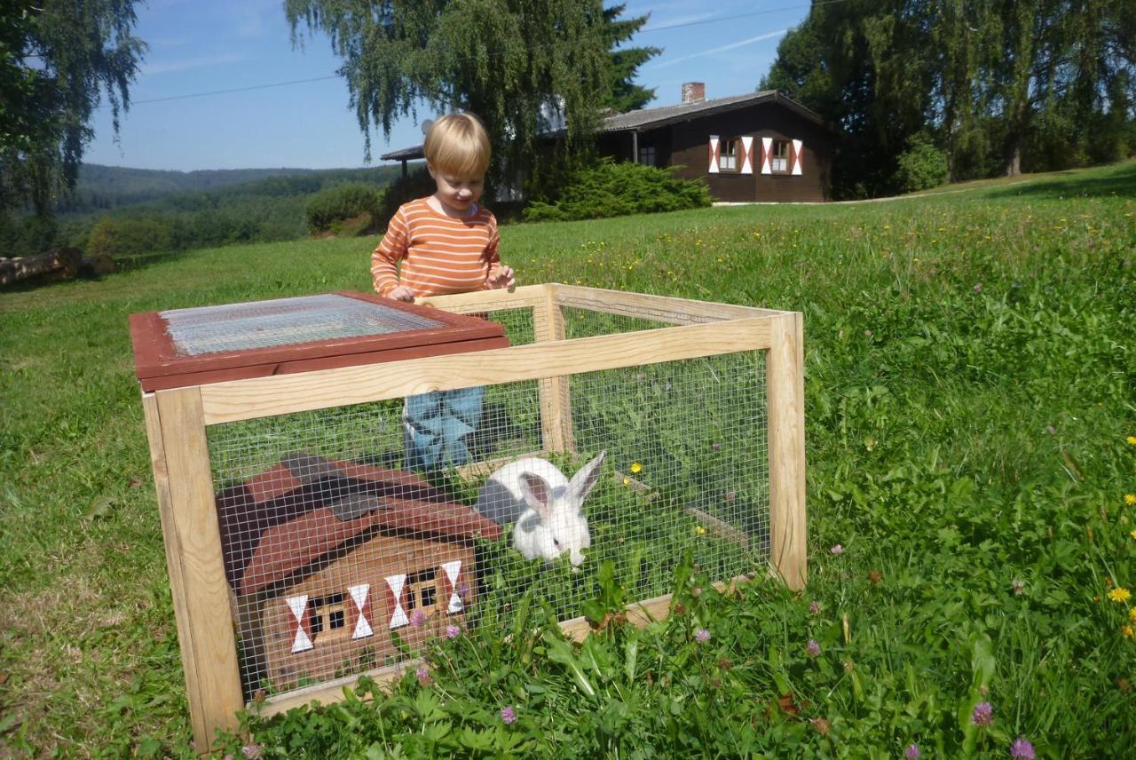 Villa Ellernhof Im Spessart Stadtprozelten Habitación foto